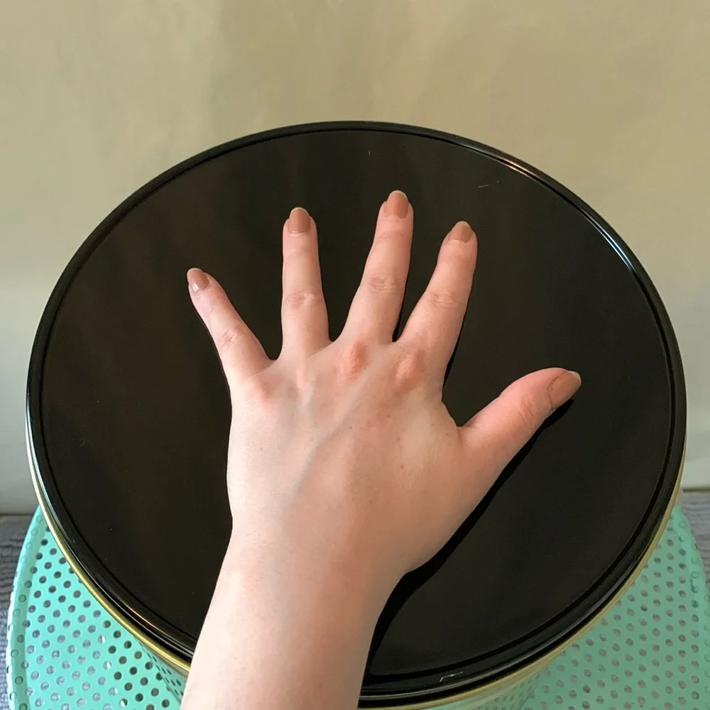 Gold FEED ME Large Fringe Pet Food Storage Tin With Lid